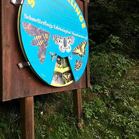 Lägenhetshotell Haus Am 4*