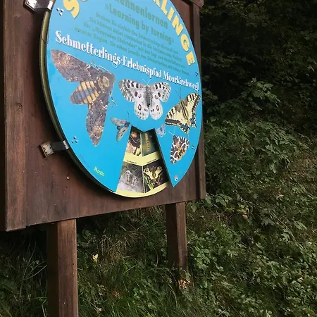 公寓式酒店 海滨公寓 乌滕多夫