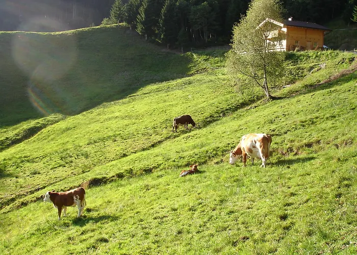 Hotel apartamentowy Haus Am