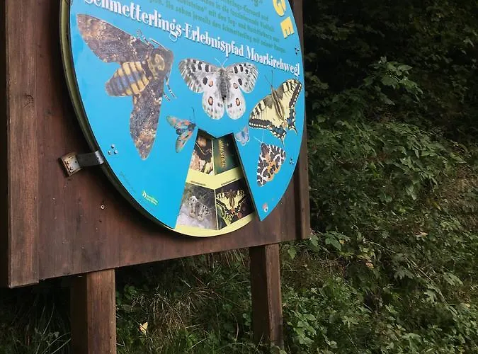 Hotel apartamentowy Haus Am Uttendorf